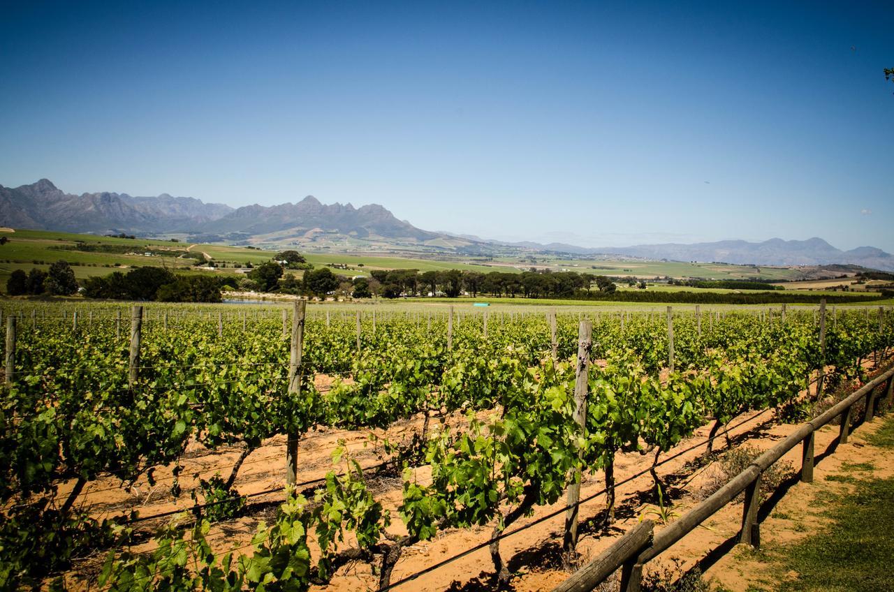 Lavinia Lifestyle Villa Stellenbosch Luaran gambar