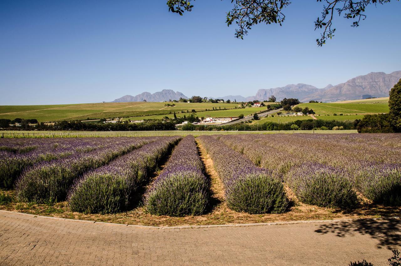 Lavinia Lifestyle Villa Stellenbosch Luaran gambar